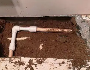 会泽测漏水哪家好