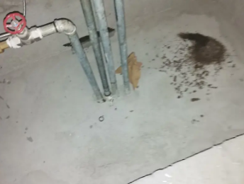 会泽卫生间测漏水价格明细