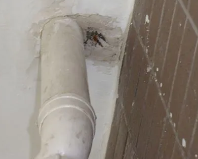 会泽漏水检测哪家好